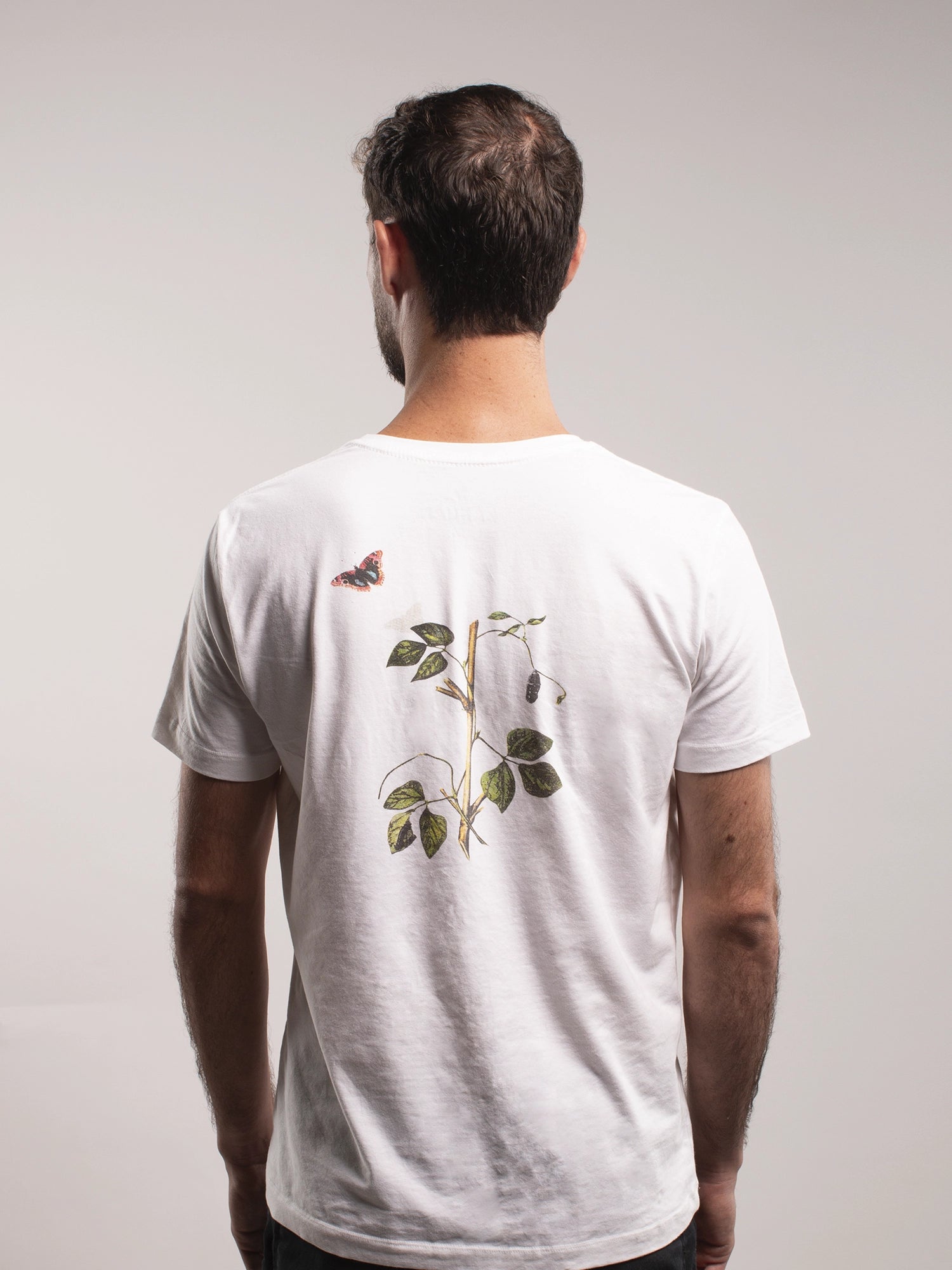 Camiseta Junonia Evarete