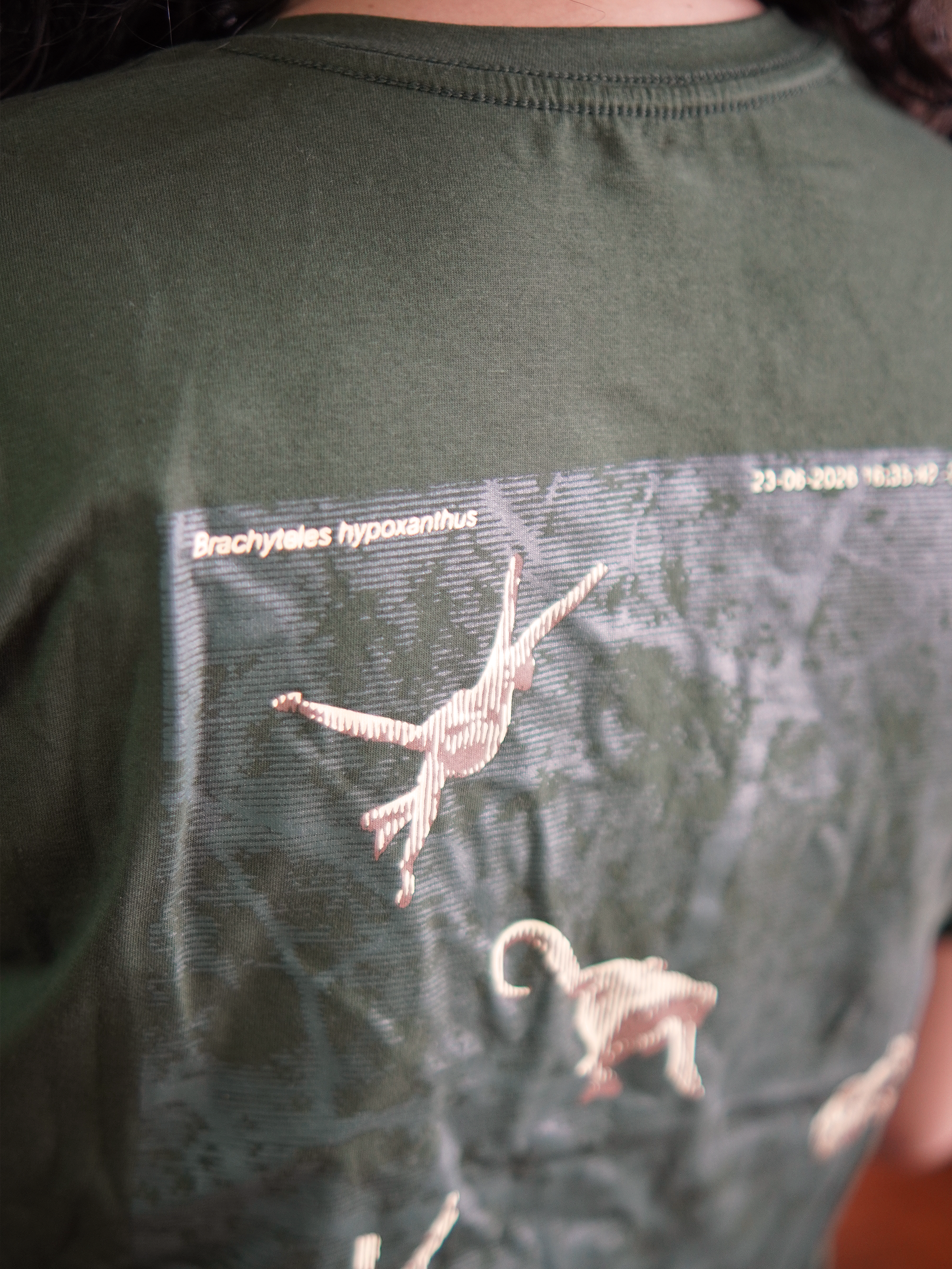 Camiseta Abraços da Floresta