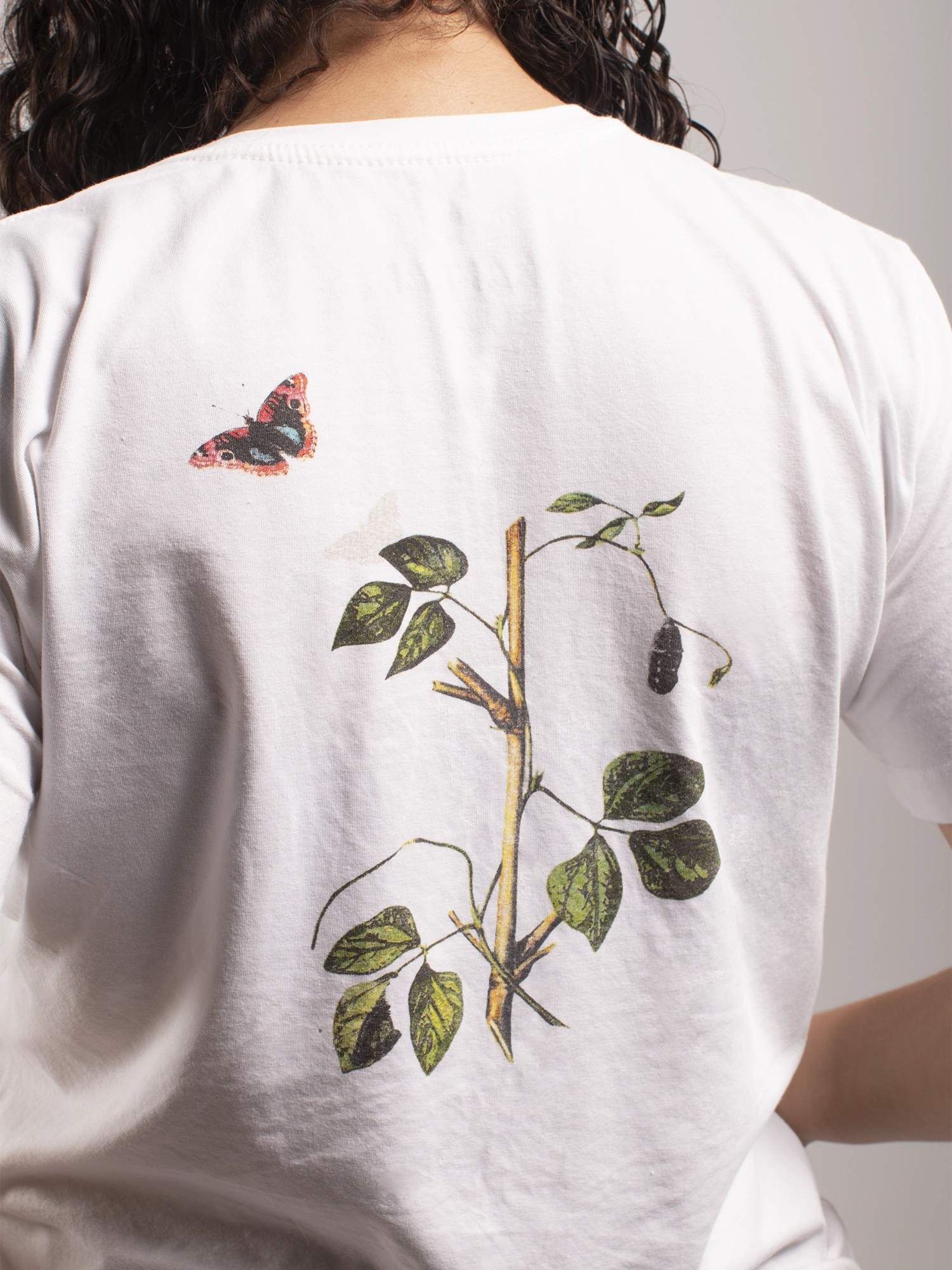 Camiseta Junonia Evarete