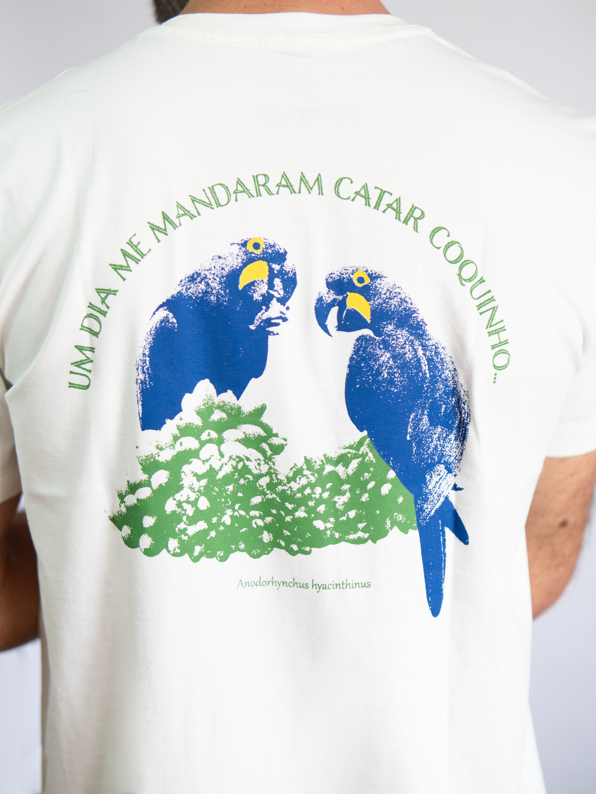 Camiseta Coquinho