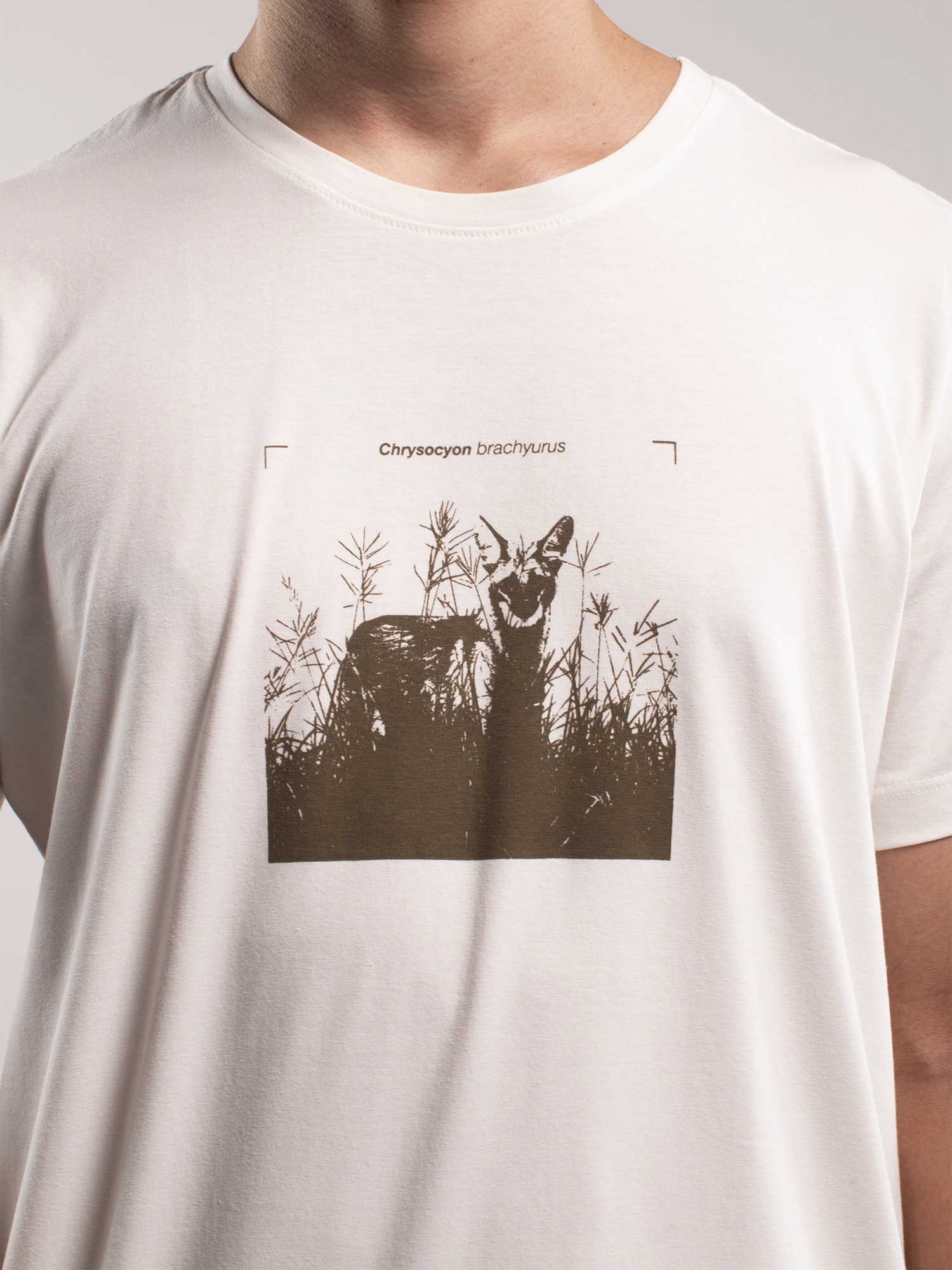 Camiseta Guará