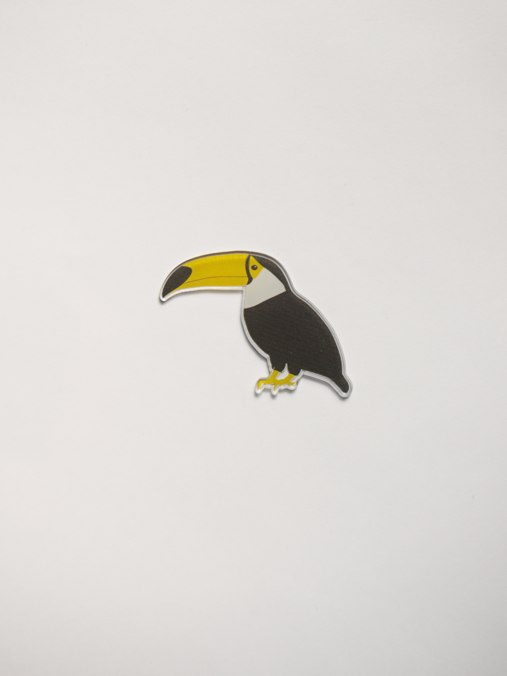 Camiseta Ramphastos