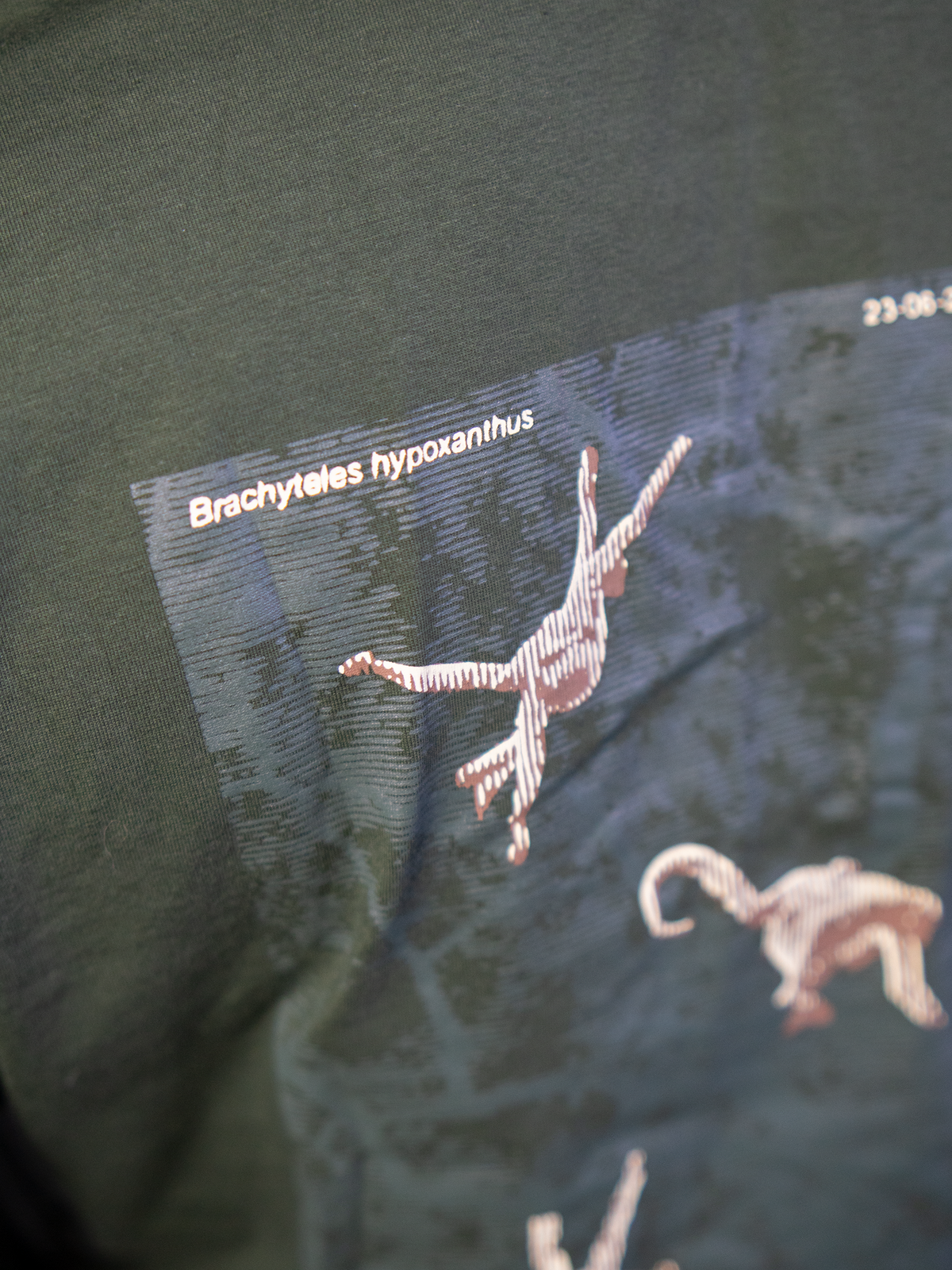 Camiseta Abraços da Floresta